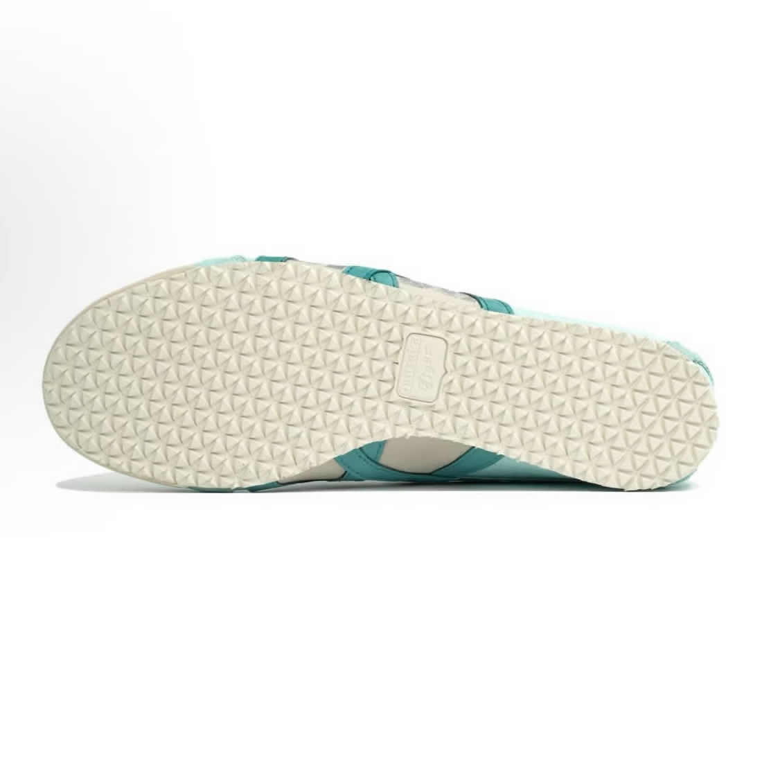 (Kaleidoscope/ Cyan) Mexico 66 Shoes