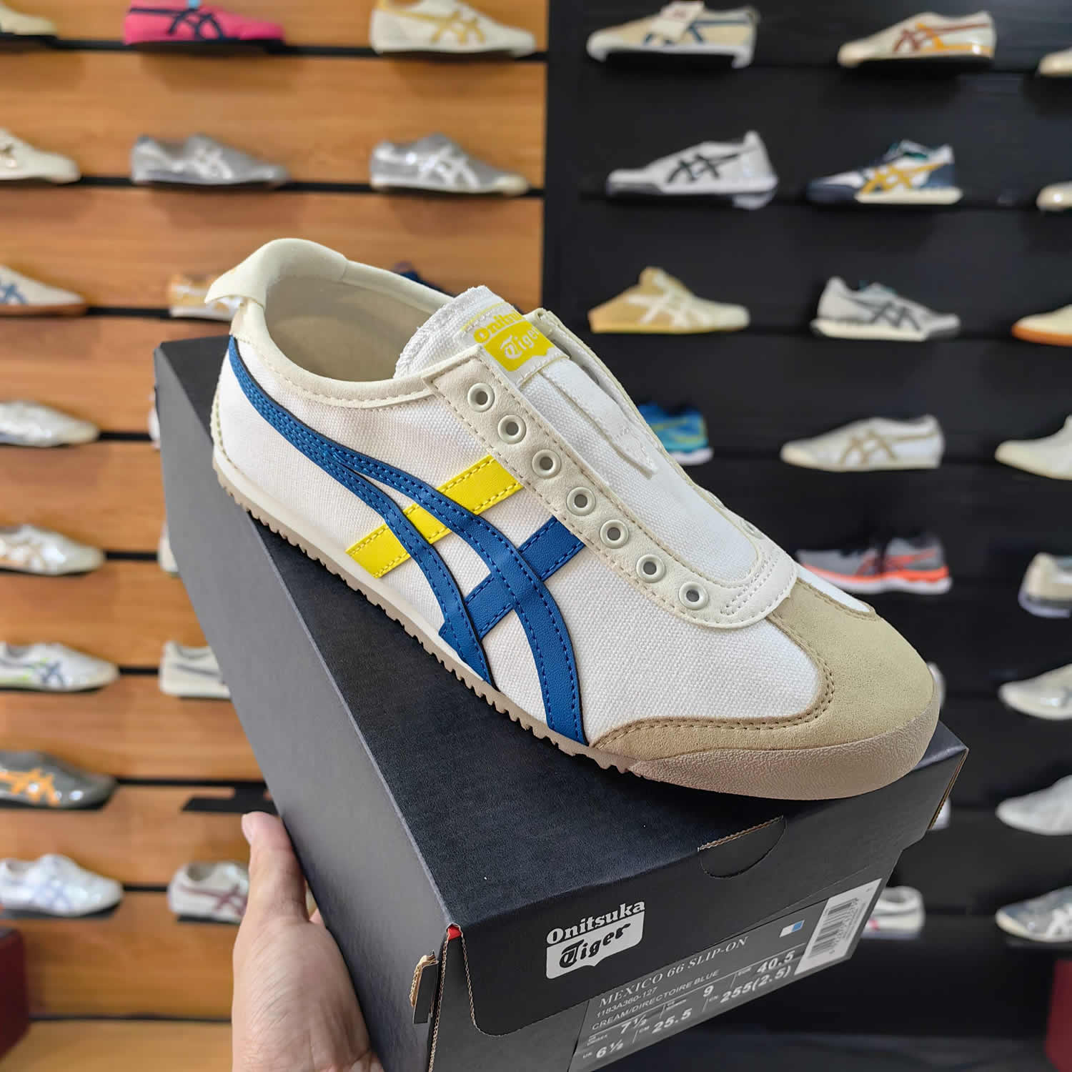 (White/ Directoire Blue/ Yellow) Slip On Shoes