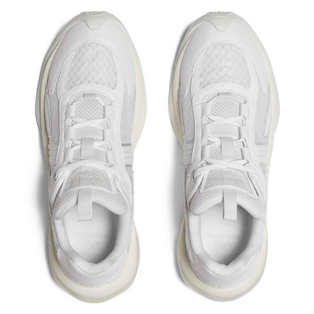 TIGTRAIL RS (White/ White) Shoes